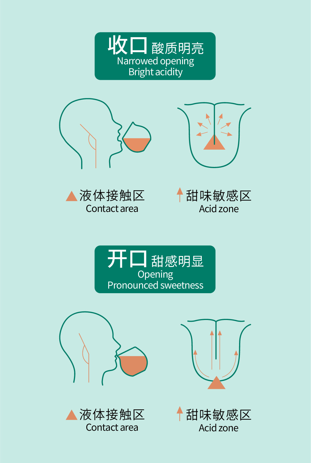 换享杯Funtasycup® [碧岚凤尾 景德镇 扒花工艺]